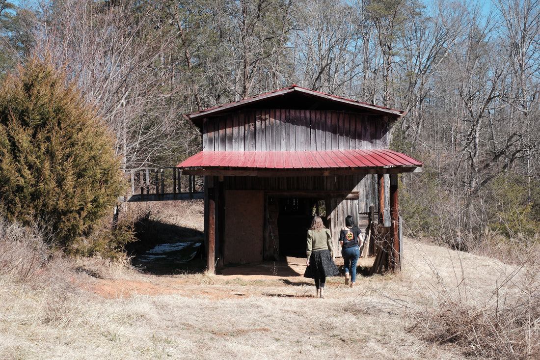 A Sanctuary of Collective Care