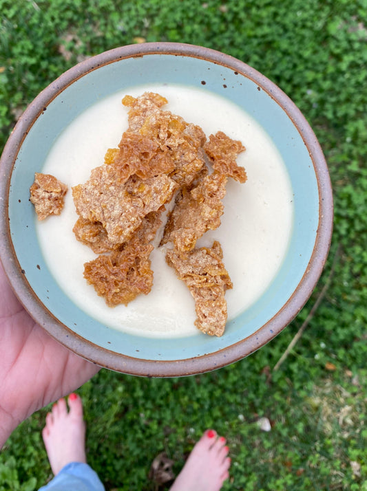 Cereal Milk Panna Cotta