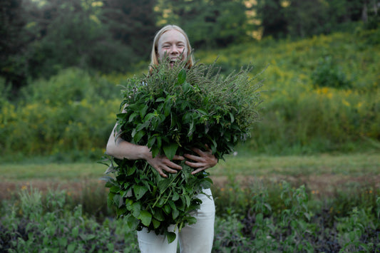 Saralyn Bellmer of Heilbron Herbs. 