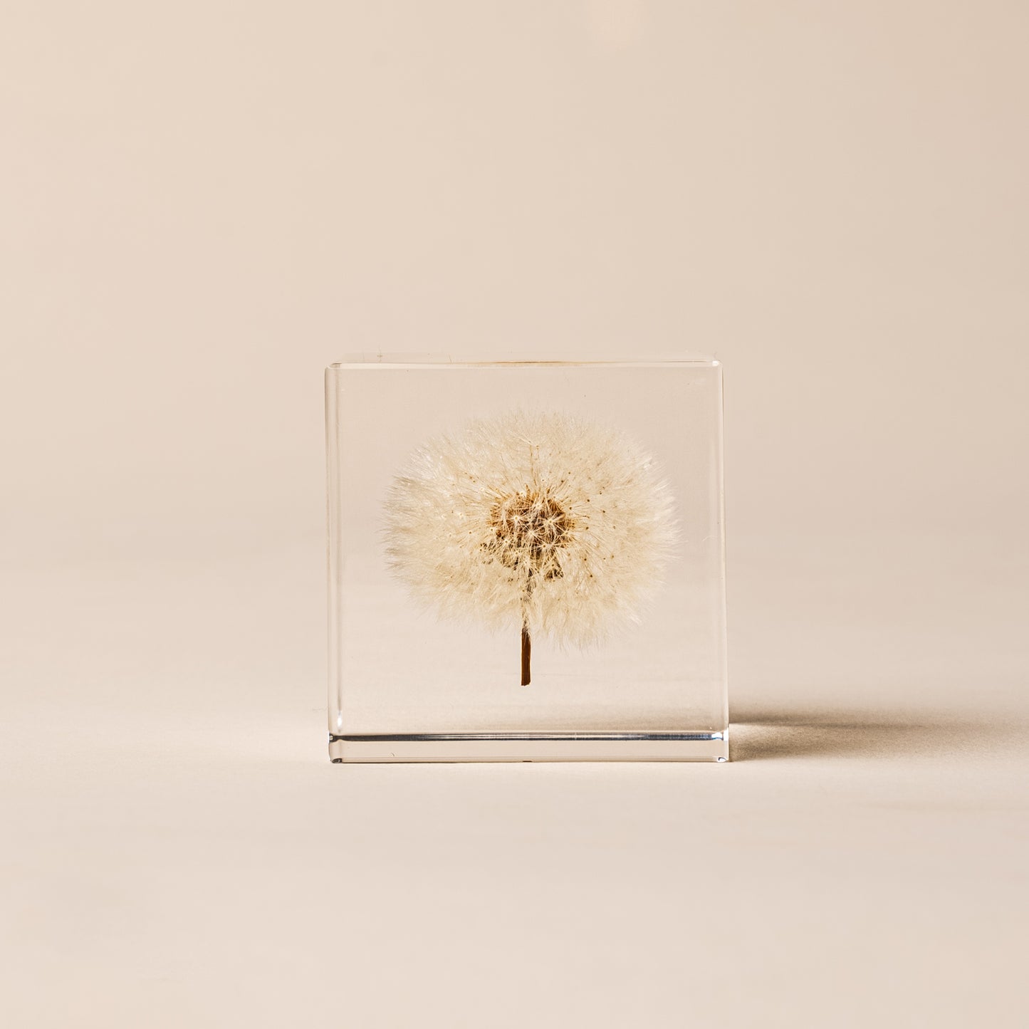 Sola Cube