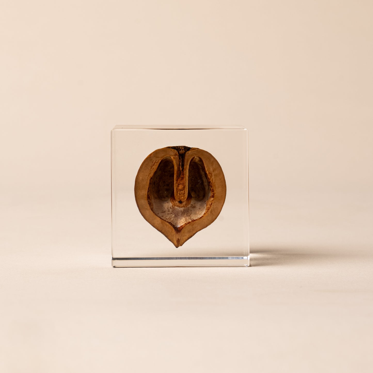 Sola Cube