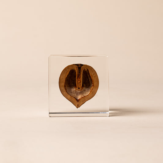 Sola Cube