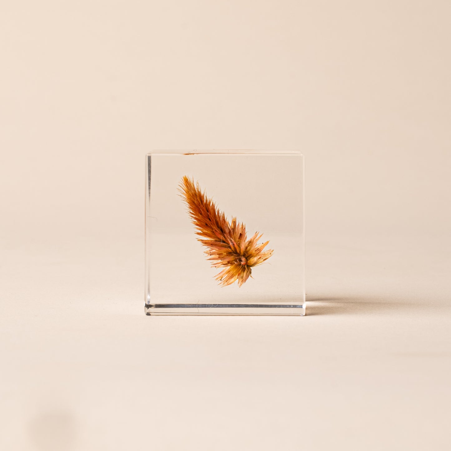 Sola Cube