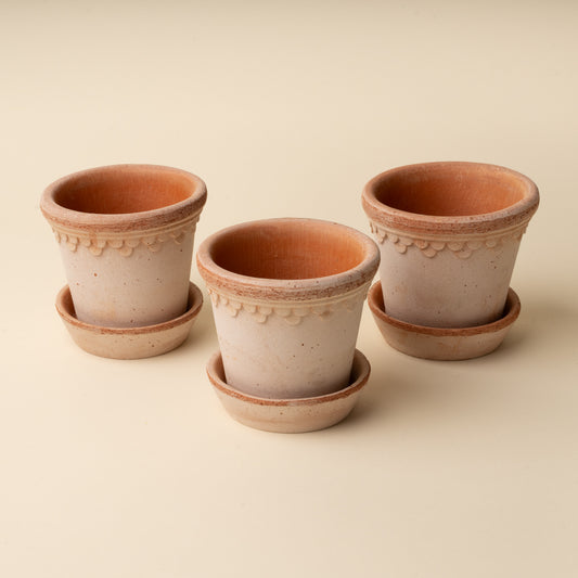 Terracotta Herb Pots
