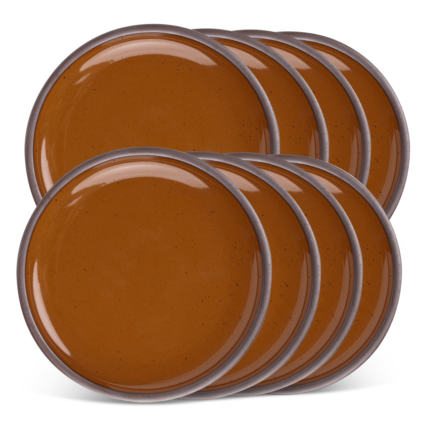 Dinner Plate 8-Pack