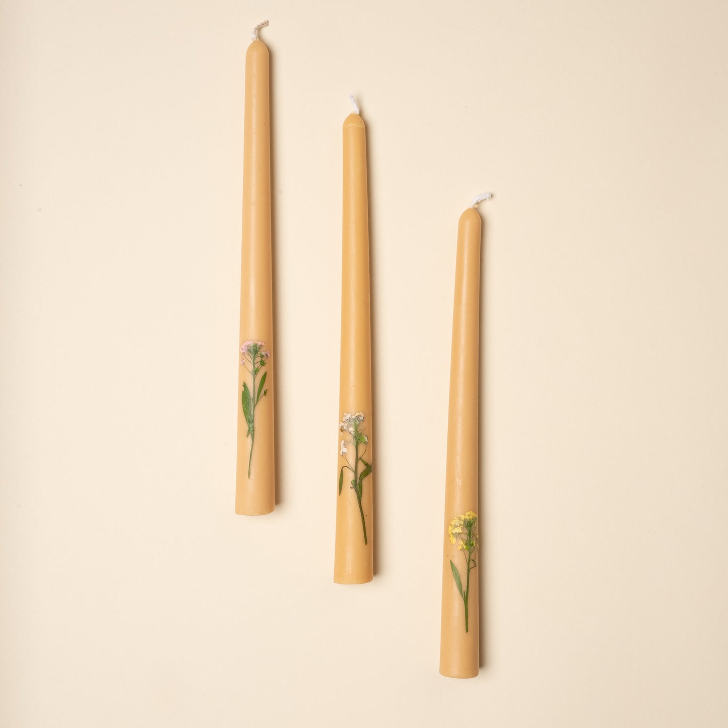 Pressed Flower Tapers, Set of 3