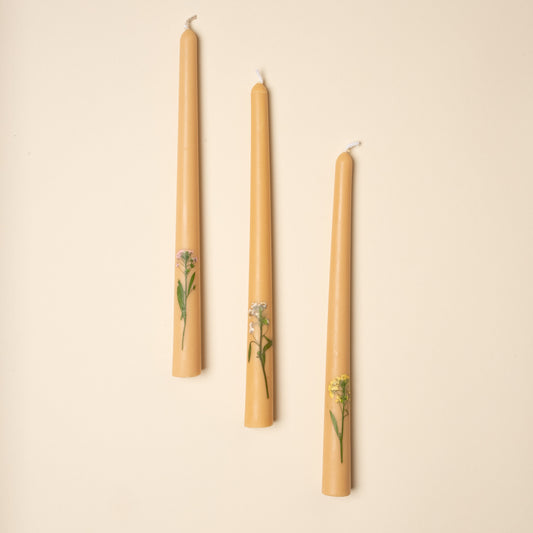 Pressed Flower Tapers, Set of 3