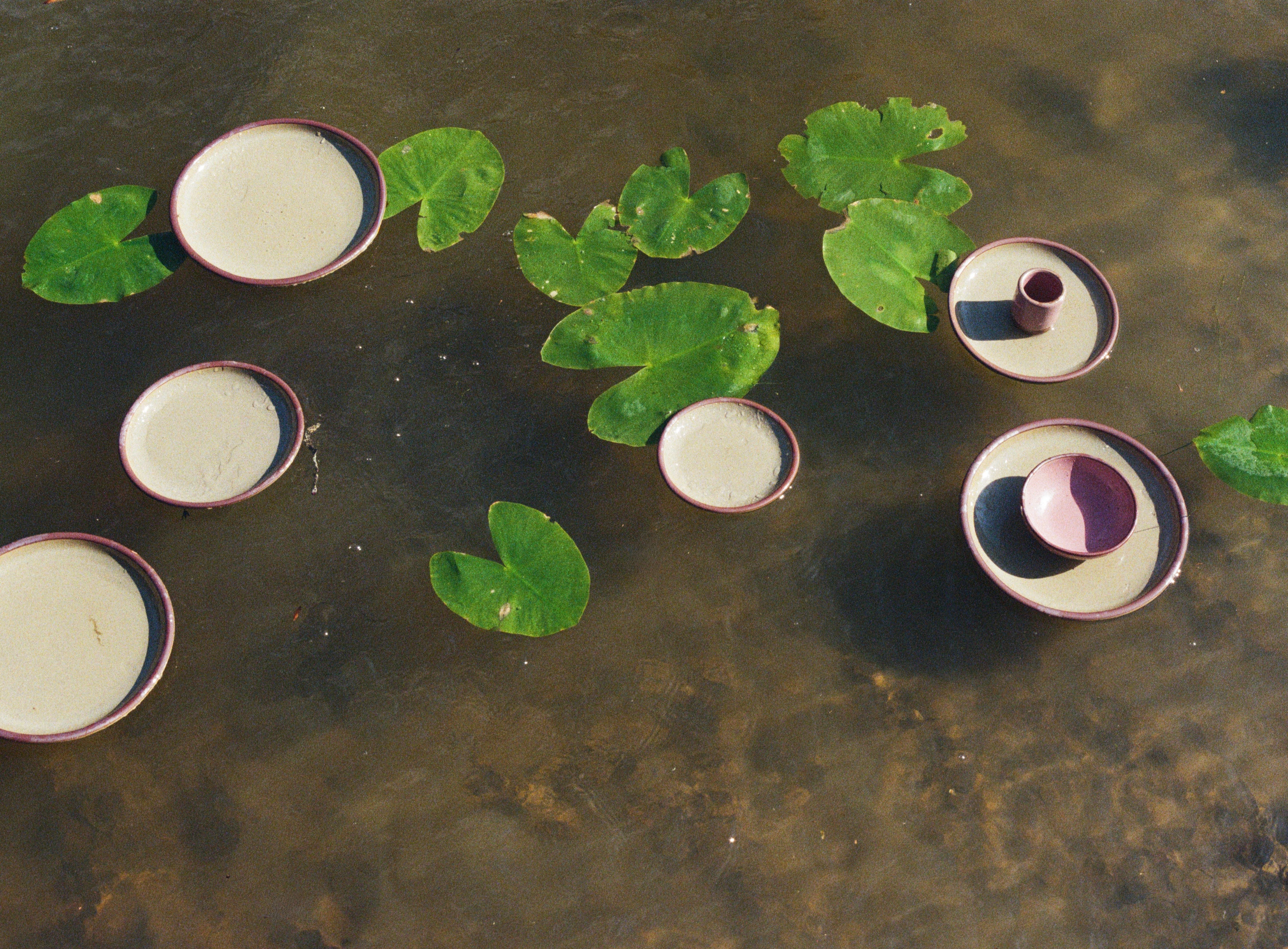 Lily pads and pale green plates floating on water