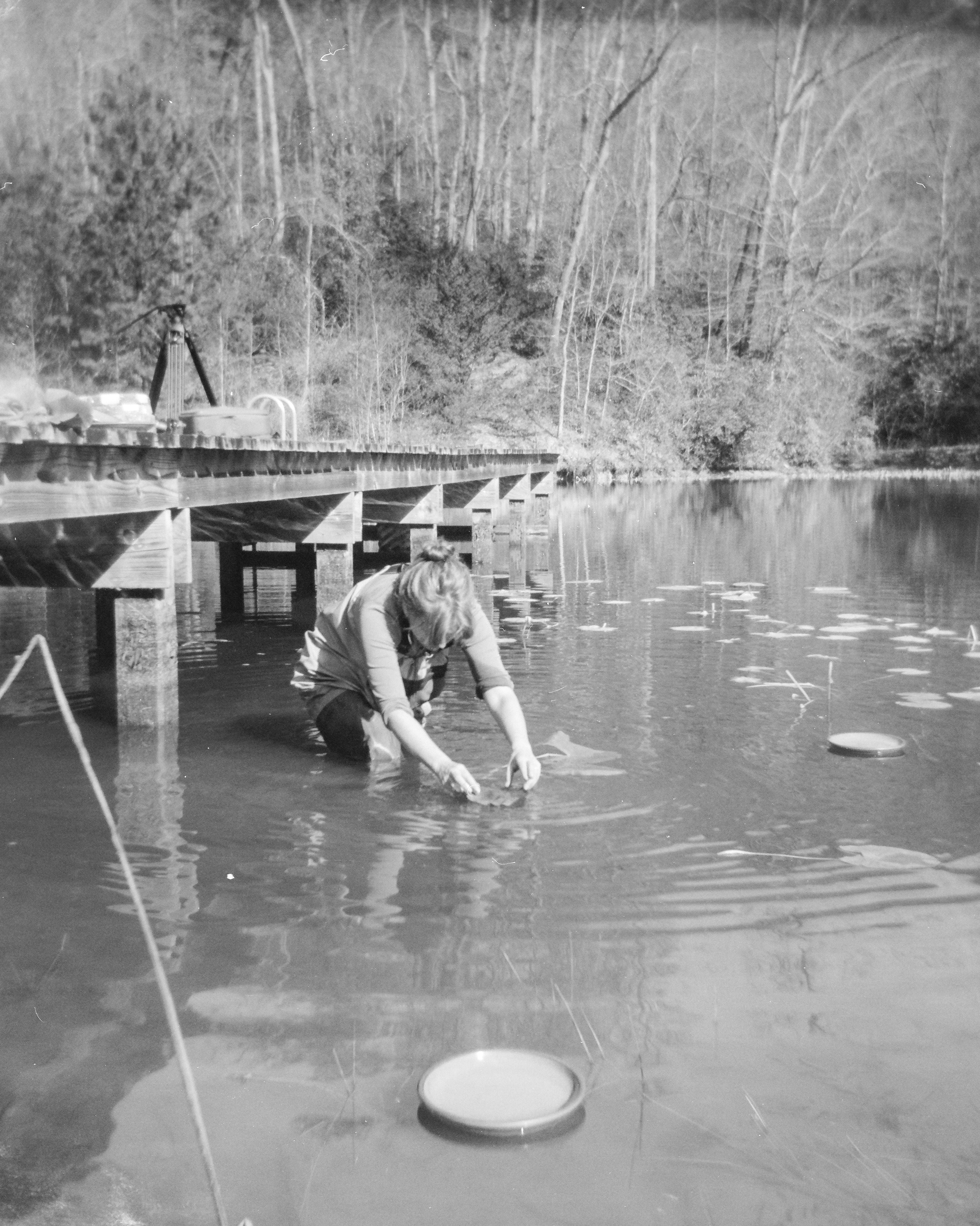 A black and white photo of a woman in a pond with lily pads