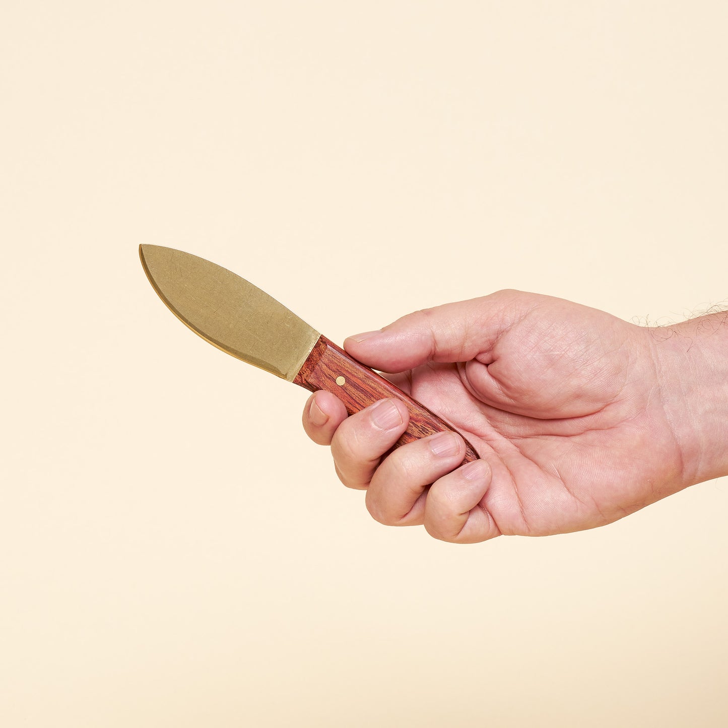 Cheese knife with brass blade and wooden handle.