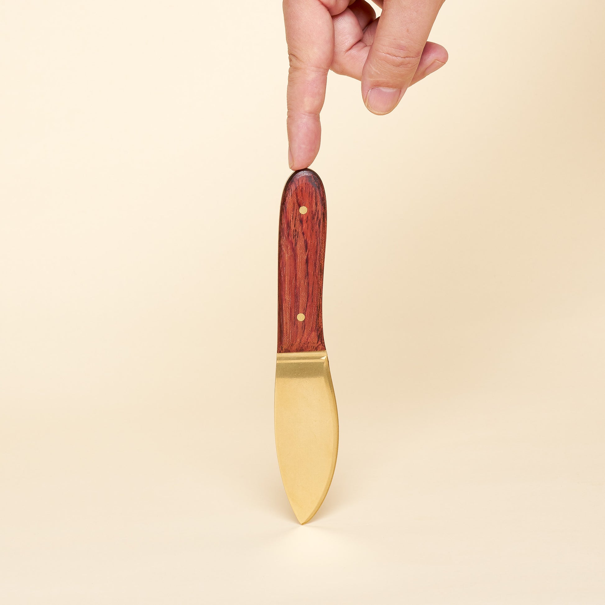 Cheese knife with brass blade and wooden handle.